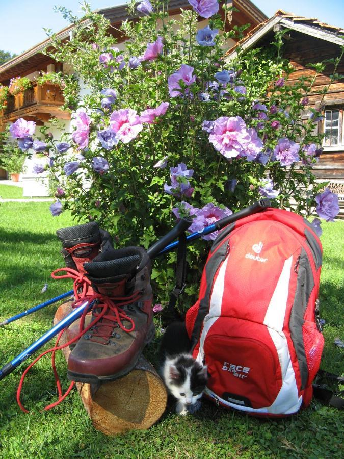 Ferienwohnungen Wanderparadies Bauernhof Aschau im Chiemgau Luaran gambar
