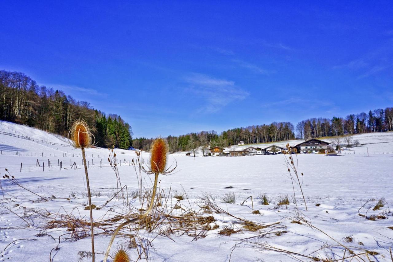 Ferienwohnungen Wanderparadies Bauernhof Aschau im Chiemgau Luaran gambar